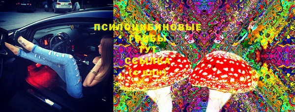 MDMA Premium VHQ Богородицк