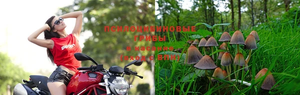 скорость Богородск
