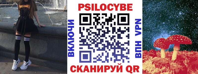 Галлюциногенные грибы Psilocybine cubensis  Котельнич 